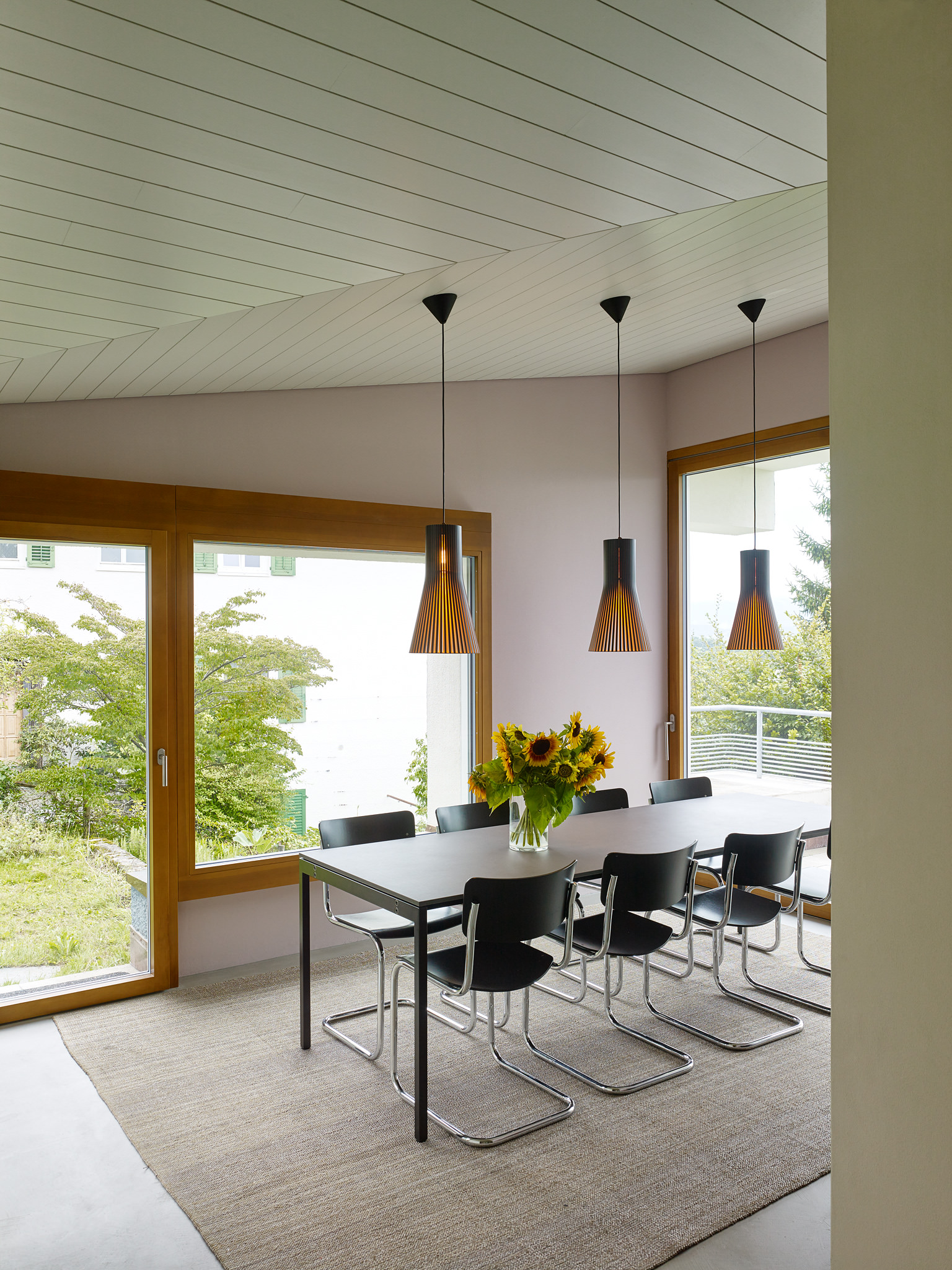 E15560 Alpa 052466 SCREEN